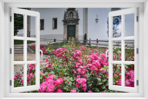 Fototapeta Naklejka Na Ścianę Okno 3D - Pink flowers, roses on the background of a house with a white facade and tiles azulejos. Guimaraes. Portugal
