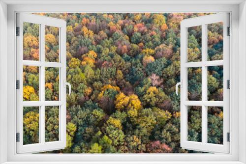 Fototapeta Naklejka Na Ścianę Okno 3D - Autumn forest with green and yellow leaves, aerial drone view