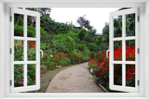 Fototapeta Naklejka Na Ścianę Okno 3D - タイ　チェンマイ　モン族の村の庭園
