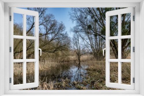 Fototapeta Naklejka Na Ścianę Okno 3D - Marais du Grand Saulcy