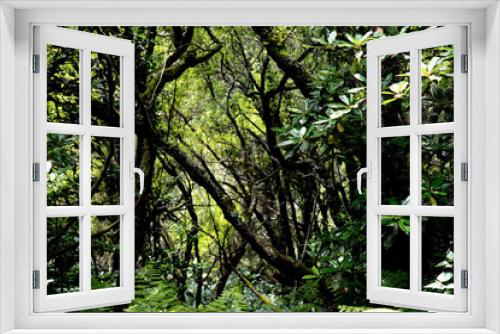 Fototapeta Naklejka Na Ścianę Okno 3D - tree in the forest photo