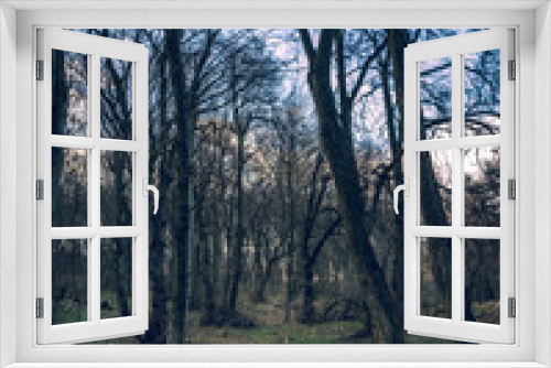 Fototapeta Naklejka Na Ścianę Okno 3D - Spring landscape