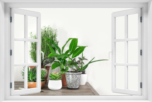 Fototapeta Naklejka Na Ścianę Okno 3D - Home Potted Plants