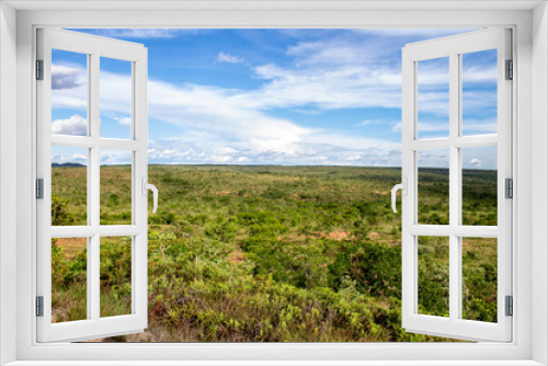Fototapeta Naklejka Na Ścianę Okno 3D - The beautiful vegetation of the Brazilian savannah and its exotic landscapes