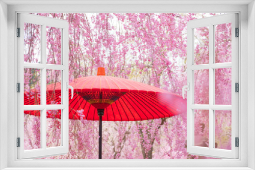 Fototapeta Naklejka Na Ścianę Okno 3D - 【写真素材】　桜　さくら　しだれ桜　和傘　春イメージ