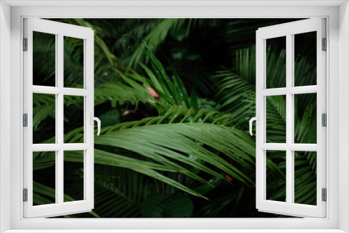 Fototapeta Naklejka Na Ścianę Okno 3D - palms