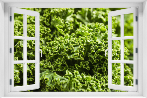 Fototapeta Naklejka Na Ścianę Okno 3D - Fresh green kale leaves as background, closeup