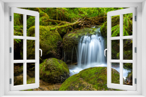 Fototapeta Naklejka Na Ścianę Okno 3D - Wasserfall im Schwarzwald