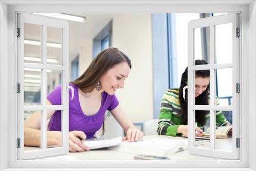 two pretty, young college students in a library