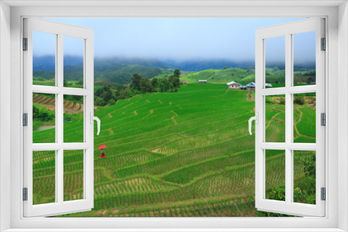 Fototapeta Naklejka Na Ścianę Okno 3D - Young woman with red umbrella relaxing in green rice terraces on holiday at pa bong paing village,  Mae-Jam Chiang mai, Thailand