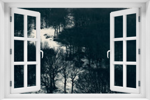Fototapeta Naklejka Na Ścianę Okno 3D - Winter paths