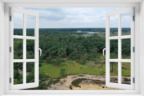 Fototapeta Naklejka Na Ścianę Okno 3D - parc national de Zoom-Kalmthoutse Heide