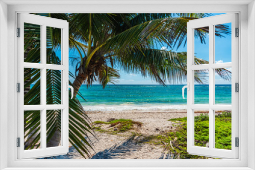 Fototapeta Naklejka Na Ścianę Okno 3D - Palm tree near the shore of a Caribbean beach in Rivera Maya, Mexico