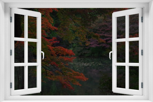 Fototapeta Naklejka Na Ścianę Okno 3D - 池と紅葉