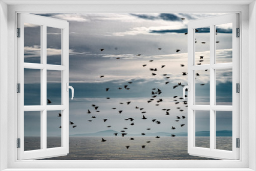 Fototapeta Naklejka Na Ścianę Okno 3D - Birds