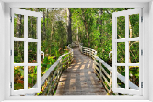 Fototapeta Naklejka Na Ścianę Okno 3D - Boardwalk in Audobon Corkscrew Swamp Sanctuary, Florida Everglades Ecosystem - Nature Walking Trail, Protected Forest Swamp Ecosystem