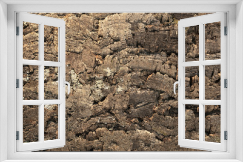 Fototapeta Naklejka Na Ścianę Okno 3D - Dark brown Tree bark background texture natural concept closeup