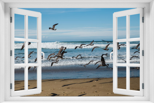Fototapeta Naklejka Na Ścianę Okno 3D - seagulls on the beach at Montana De Oro State Park, California