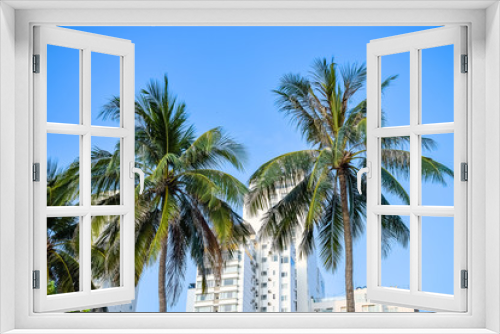 Fototapeta Naklejka Na Ścianę Okno 3D - Two palm trees on the background of hotels in a resort in the tropics