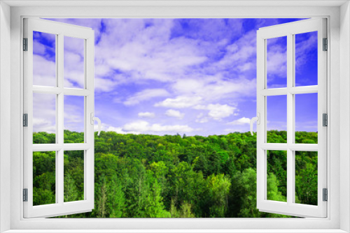 Fototapeta Naklejka Na Ścianę Okno 3D - nature wallpaper idyllic background forest landscape top of trees horizon scenic view with cloudy blue sky vivid colors and empty copy space for your text