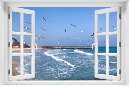 Fototapeta Naklejka Na Ścianę Okno 3D - A Flock Of Seabirds Fly Over The Blue Sea.