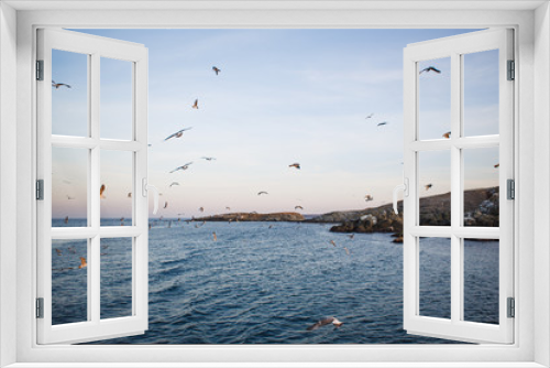 Fototapeta Naklejka Na Ścianę Okno 3D - Sunset on the sea, seagulls fly over the waves and the outlines of the stone island. The orange light of the setting sun illuminates the gulls above the sea and the dark water of the Black sea