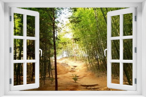 Fototapeta Naklejka Na Ścianę Okno 3D - Damyang Bamboo Forest (Jukonkwon), South Korea
