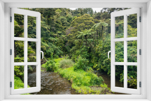 Fototapeta Naklejka Na Ścianę Okno 3D - river in the lush forest