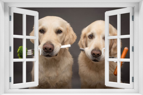 Fototapeta Naklejka Na Ścianę Okno 3D - Zwei Hunde und Gabel