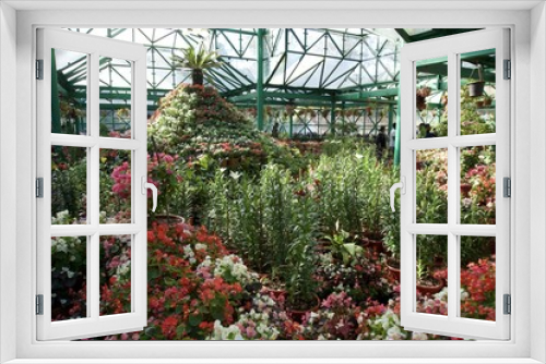 Fototapeta Naklejka Na Ścianę Okno 3D - Glass House flower garden 