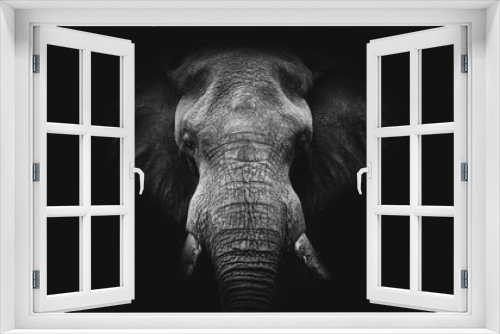 Fototapeta Naklejka Na Ścianę Okno 3D - Elephant on black, fine art B&W 