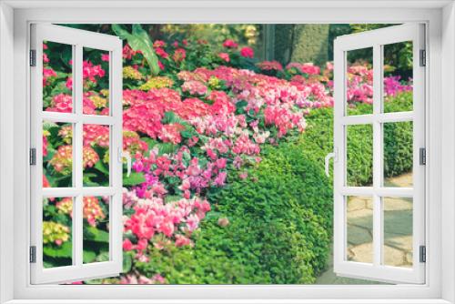 Fototapeta Naklejka Na Ścianę Okno 3D - blooming pink hydrangea growing in flower garden