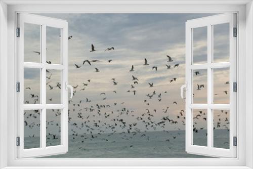 Fototapeta Naklejka Na Ścianę Okno 3D - envol d oiseaux pacifique