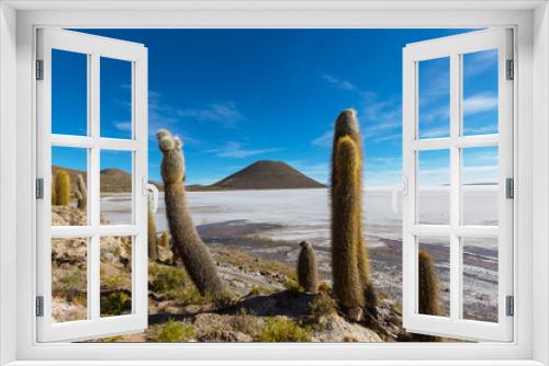 Fototapeta Naklejka Na Ścianę Okno 3D - Cactus in Bolivia