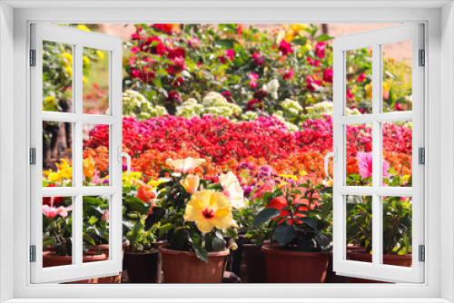 Fototapeta Naklejka Na Ścianę Okno 3D - Colorful Green Newly Grown Plants And Blooming Flowers In Spring Season In Greenhouse Environments For Modern Home Gardening Indoor Or Outdoor Decorations Or Save Planet