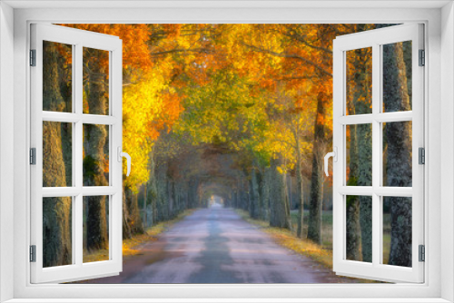 Fototapeta Naklejka Na Ścianę Okno 3D - Golden Passageway