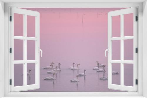 Fototapeta Naklejka Na Ścianę Okno 3D - Swan