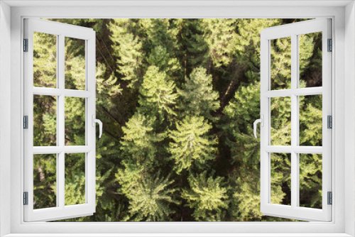 Fototapeta Naklejka Na Ścianę Okno 3D - Fichtenwald im Sauerland von oben