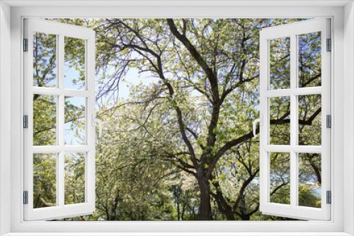 Fototapeta Naklejka Na Ścianę Okno 3D - spring garden with flowering trees