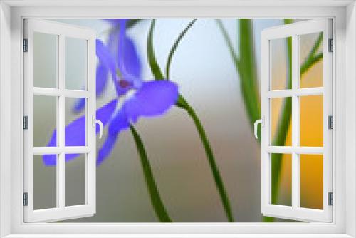 Fototapeta Naklejka Na Ścianę Okno 3D - tiny purple flower