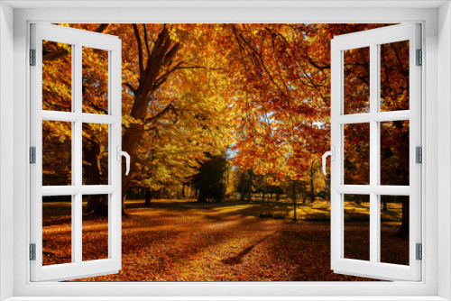Fototapeta Naklejka Na Ścianę Okno 3D - Autumn forest. Awesome Autumn Landscapein Sunny day. Beautiful romantic alley in a park with colorful trees, autumn natural scenery. Wonderful picturesque Scene. Amazing Natural Background.