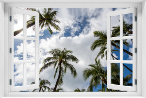 Fototapeta Naklejka Na Ścianę Okno 3D - Palms with blue sky and clouds in Oahu Hawaii 