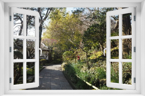 Fototapeta Naklejka Na Ścianę Okno 3D - Hokokuji Temple in kamakura, JAPAN