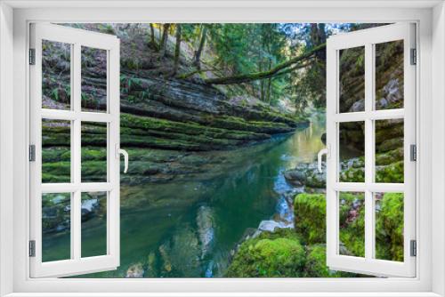 Fototapeta Naklejka Na Ścianę Okno 3D - green and damp Gorge of Areuse stream in Switzerland