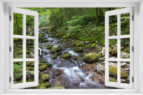 Fototapeta Naklejka Na Ścianę Okno 3D - Smoky mountain water flow