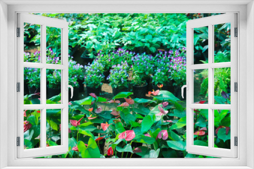 Fototapeta Naklejka Na Ścianę Okno 3D - Newly Growing Fresh Plants With Green Leaves In Backyard Or Lawn In Spring Season For Terrace Modern Home Gardening