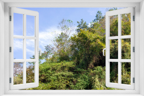 Fototapeta Naklejka Na Ścianę Okno 3D - green forest with blue sky