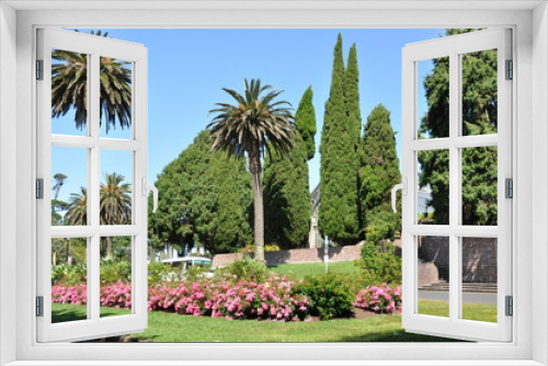 Fototapeta Naklejka Na Ścianę Okno 3D - Landscape at  Auckland Domain Winter Gardens, North Island, New Zealand.