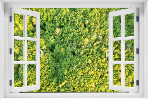 Fototapeta Naklejka Na Ścianę Okno 3D - Top view of green forest on sunny spring or summer day. Drone photography, abstract background.