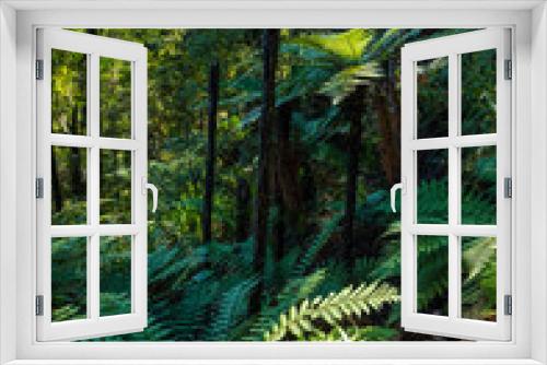 Fototapeta Naklejka Na Ścianę Okno 3D - fern trees in forest